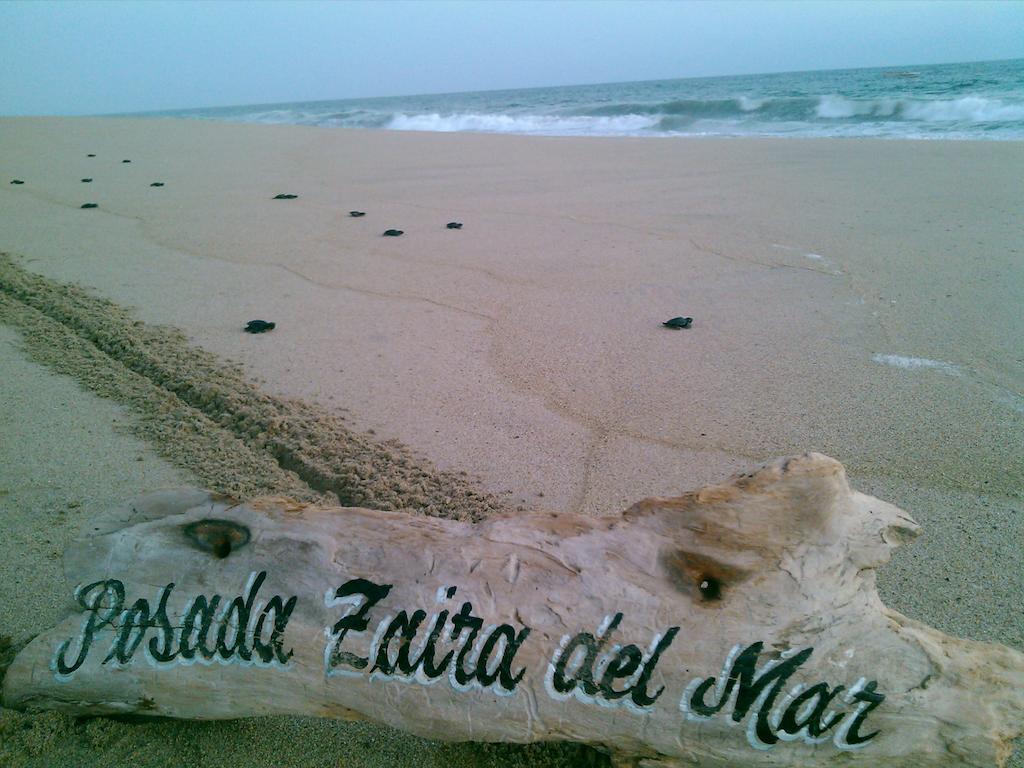 Coyuca Posada Zaira Del Mar المظهر الخارجي الصورة